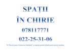 SPAŢII ÎN CHIRIE