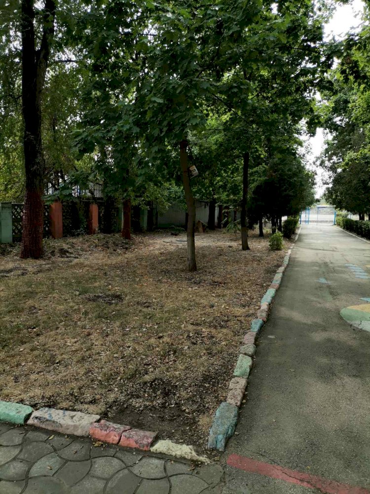 Ofertă chirie - Vadul lui Vodă, 100